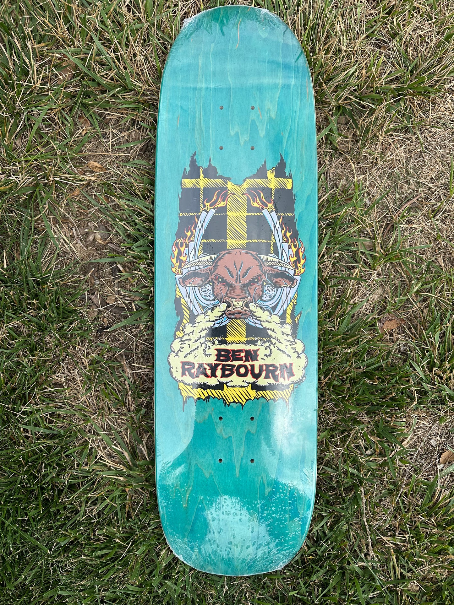 BEN RAYBOURN STEER 8.75 DECK